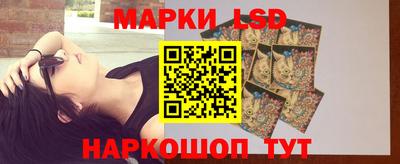 a pvp Новозыбков
