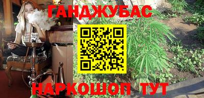 a pvp Новозыбков