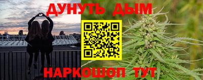 mdpv Новодвинск