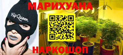 a pvp Новозыбков