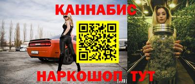 a pvp Новозыбков