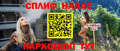 mdpv Новодвинск