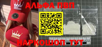 a pvp Новозыбков